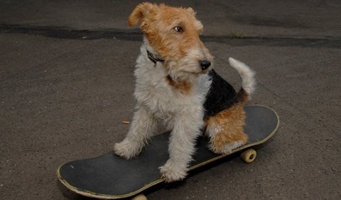 board